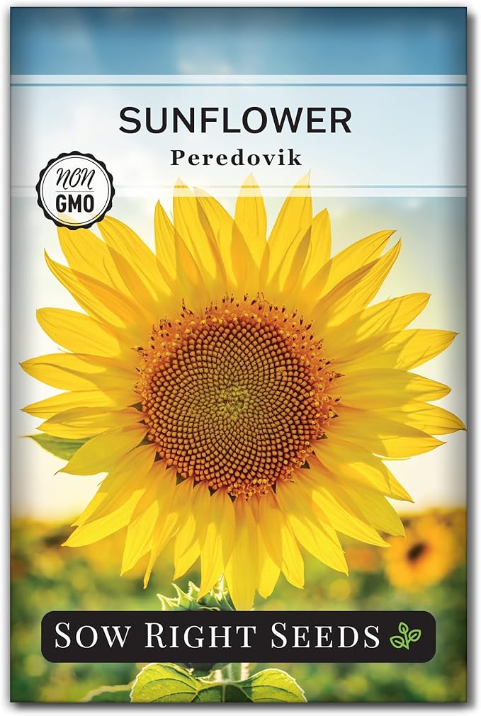 Sow Right Seeds - Peredovik Sunflower Seeds for Planting - Non-GMO Heirloom Packet with Instructions for Growing - Russian Black Sun Flower - Great for Wildlife and Sunflower Oil - Annual Blooms (1)