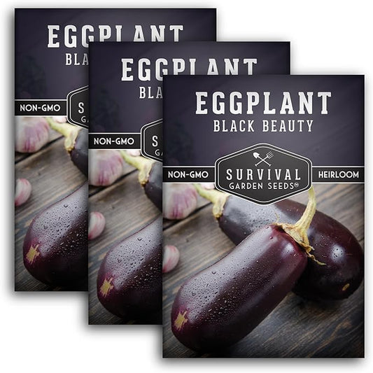 3 Packs Black Beauty Eggplant Seed for Planting - Packet with Instructions to Grow Purple Aubergine Plants in Your Home Vegetable Garden - Non-GMO Heirloom Variety - Survival Garden Seeds