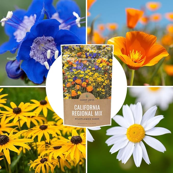 California Wildflower Mixture - Bulk 1/4 Pound Bag - Over 30,000 Native Seeds - Open Pollinated and Non GMO