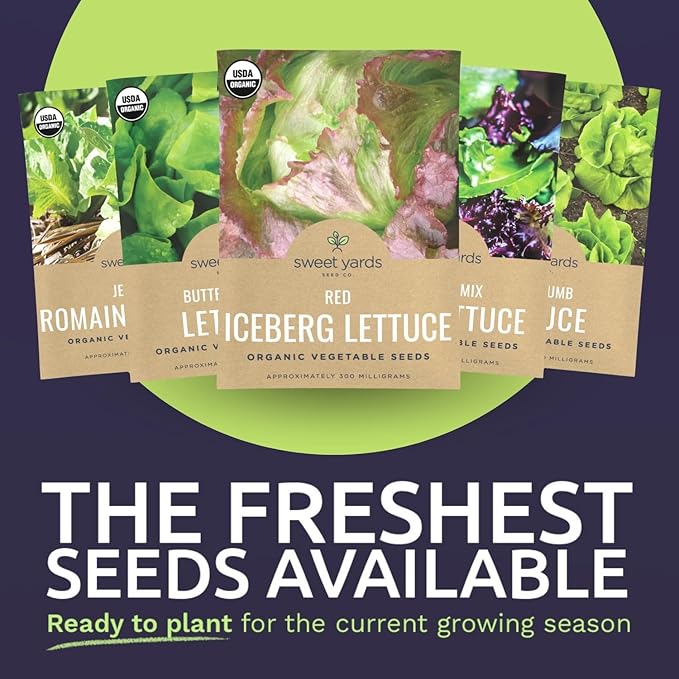 Organic Lettuce & Greens Seeds Variety Pack - 5 Individual Packs - 2025 Season - Buttercrunch, Gourmet Mix, Romaine, Tom Thumb & Iceberg. for Indoor & Outdoor Planting (Non-GMO, Certified Organic)