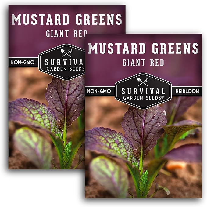 Survival Garden Seeds - Giant Red Mustard Greens Seed for Planting - 2 Packs with Instructions to Plant and Grow Spicy Brassica Juncea Leaves in Your Home Vegetable Garden - Non-GMO Heirloom Variety