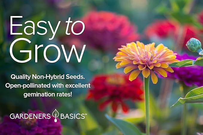 Gardeners Basics, Zinnia Seeds for Planting Outdoors Flower Seeds (5 Variety Pack) Thumbelina, Lilliput, Envy, Purple Prince and Pompon Varieties for Butterflies, Bees, Pollinators Wildflower Seed