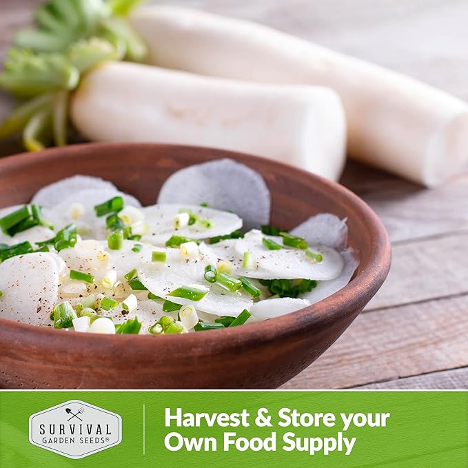 Survival Garden Seeds - Daikon Radish Seed for Planting - 2 Packs with Instructions to Plant and Grow Japanese Radish Vegetables in Your Home Vegetable Garden - Non-GMO Heirloom Variety