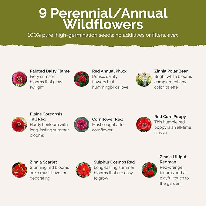 Eden Brothers Big Red Flower Mixed Seeds for Planting, 5 lb, 2,400,000+ Seeds with Painted Daisy Flame, Zinnia, Red Phlox | Attracts Pollinators, Plant in Spring or Fall, Zones 3, 4, 5, 6, 7, 8, 9, 10