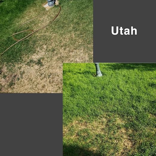 ExiGrow Alkaline Soil Treatment - Soil Loosener - Soil Conditioner - Soil Softener - Liquid Aeration - Any Grass Type - Repair Compact Soil, Standing Water, Poor Drainage - 32oz