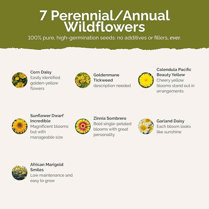 Eden Brothers Mellow Yellow Flower Mixed Seeds for Planting, 5 lb, 2,400,000+ Seeds with Painted Daisy, Zinnia, Cosmos | Attracts Pollinators, Plant in Spring or Fall, Zones 3, 4, 5, 6, 7, 8, 9, 10