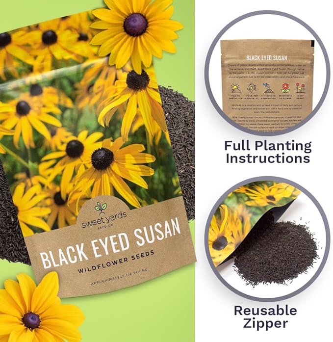 Black Eyed Susan Seeds – Bulk Quarter Pound Bag – Over 400,000 Open Pollinated Non-GMO Wildflower Seeds – Rudbeckia hirta