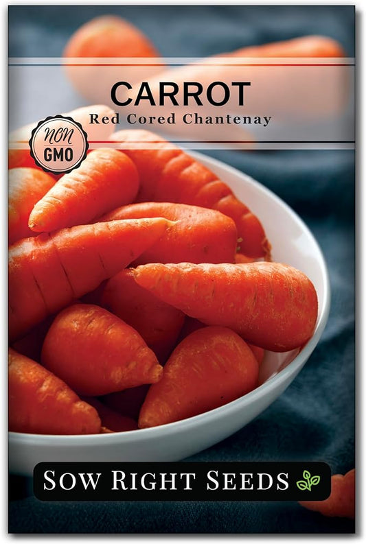 Sow Right Seeds - Red Cored Chantenay Carrot Seeds for Planting - Non-GMO Heirloom Packet with Instructions to Plant an Outdoor Home Vegetable Garden - Golden-Orange with Rare Bright Colored Core (1)