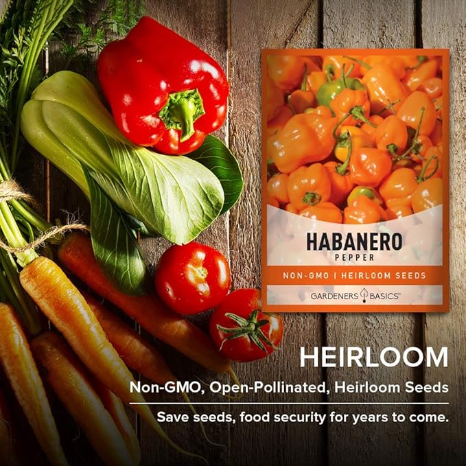 Gardeners Basics, Orange Habanero Pepper Seeds for Planting Heirloom Non-GMO Hot Habanero Peppers Plant Seeds for Home Garden Vegetables Makes a Great Gift for Gardeners