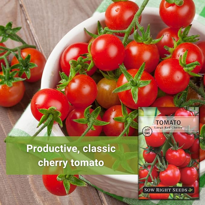 Sow Right Seeds - Large Red Cherry Tomato Seeds for Planting - Non-GMO Heirloom Packet with Instructions to Plant a Home Vegetable Garden - Tasty Snacking Variety, Start Indoors - Indeterminate (1)