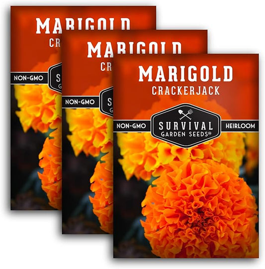 Survival Garden Seeds - Crackerjack Marigold Seed for Planting - 3 Packs with Instructions to Plant and Grow in Your Home Vegetable Garden - Non-GMO Heirloom Variety