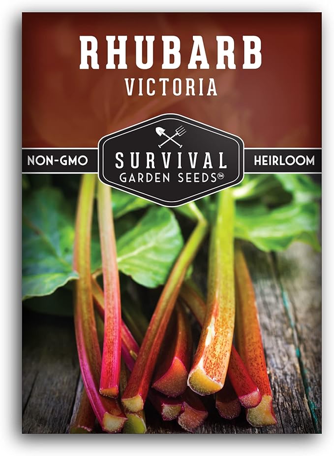 Survival Garden Seeds - Victoria Rhubarb Seed for Planting - 1 Packet with Instructions to Plant and Grow Cold-Tolerant Perennial Spring Vegetables in Your Home Garden - Non-GMO Heirloom Variety