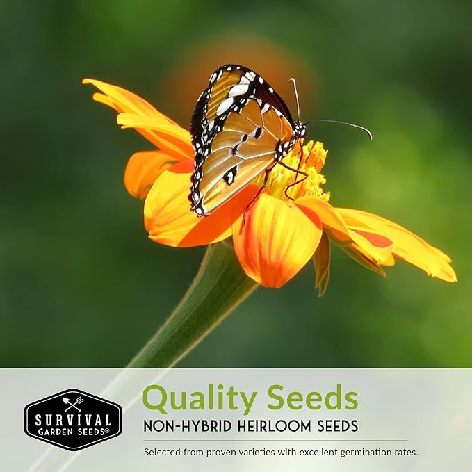 Survival Garden Seeds Pollinator Flower Collection - 3 Seed Packs for Planting & Attracting Butterflies, Bees, Hummingbirds - Nectar & Pollen Rich Perennial & Annual Wildflowers - Non-GMO Heirloom