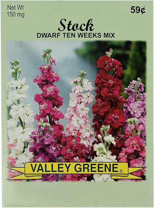 Set of Flower Seed Packets! Flower Seeds in Bulk - Great for Creating The Garden of Your Dreams! (200, Stock - Dwarf Ten Weeks)