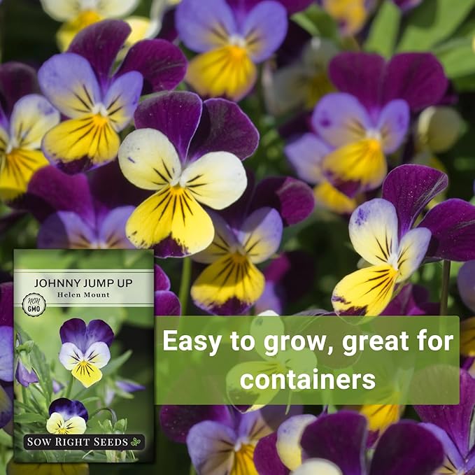 Sow Right Seeds - Violet, Johnny Jump-Up Flower Seed for Planting - Beautiful Flowers to Plant in Your Garden - Non-GMO Heirloom Seeds - Perfect for Spring Containers - Attract Pollinators (1)