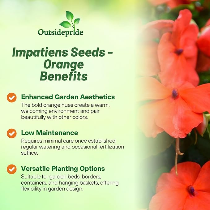Outsidepride 25 Seeds Orange Impatiens Garden Flower Seeds for Planting