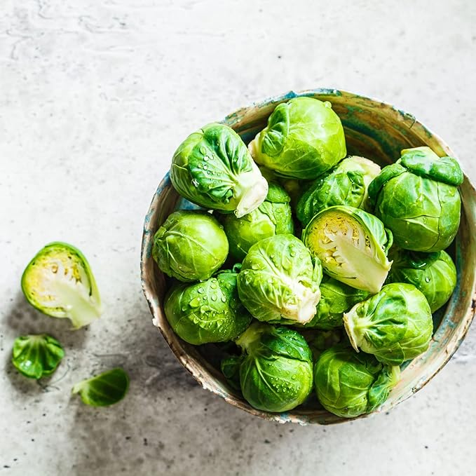 Long Island Brussels Sprout Seeds for Planting, Over 900 Seeds for Growing Indoors or Outdoors - Non-GMO, Heirloom - Woods Creek Seeds