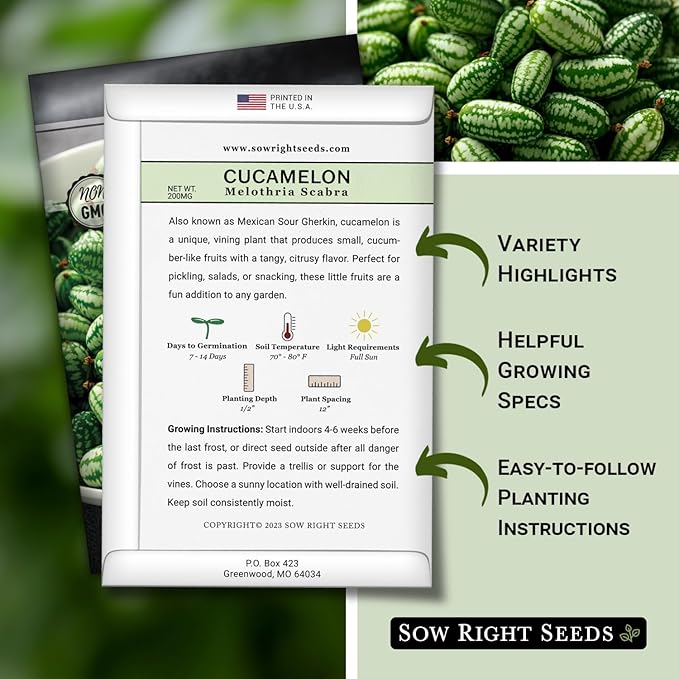 Sow Right Seeds - Cucamelon Seeds for Planting - Non-GMO Heirloom Packet with Instructions to Plant an Outdoor Home Vegetable Garden - Mini Bitter Mouse Melon, Mexican Sour Gherkin - Rare Variety (2)