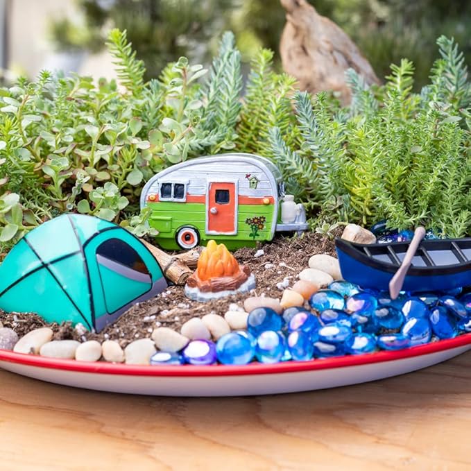 Sedum Succulent Plants Ground Cover, Live Succulents Plants Live Plants, Plant Tray of Outdoor Plants for Landscaping, Fairy Garden Accessories, Plant Wall Decor and Succulent Soil by Plants for Pets