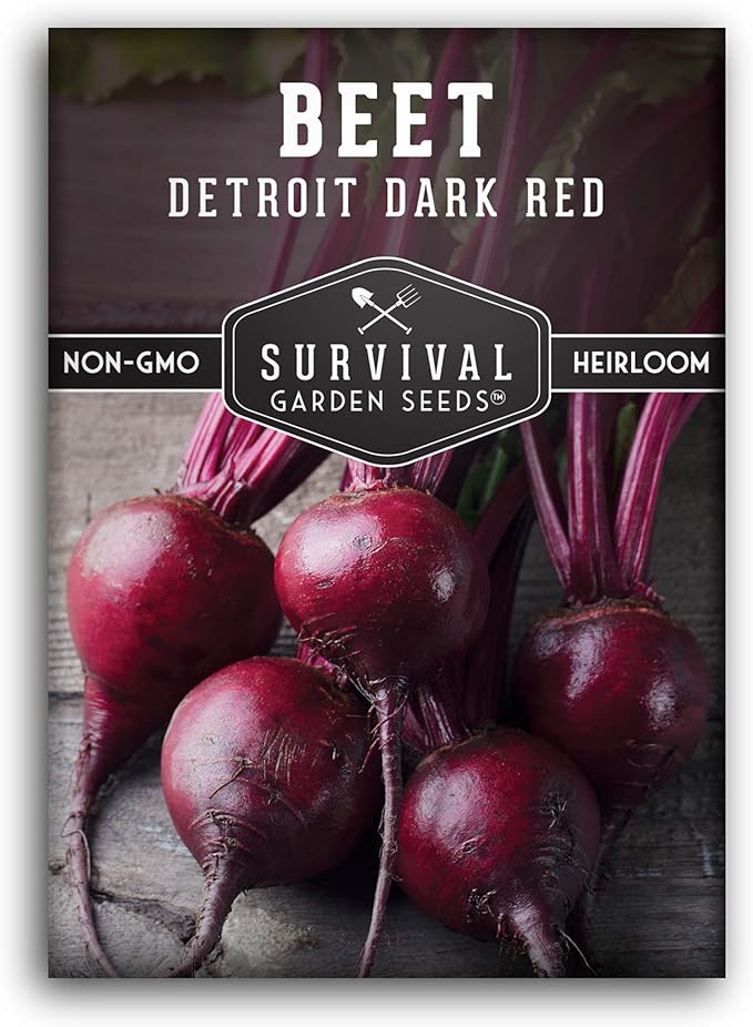 Survival Garden Seeds - Detroit Dark Red Beet Seed for Planting - Packet with Instructions to Plant and Grow Delicious Root Vegetables in Your Home Vegetable Garden - Non-GMO Heirloom Variety
