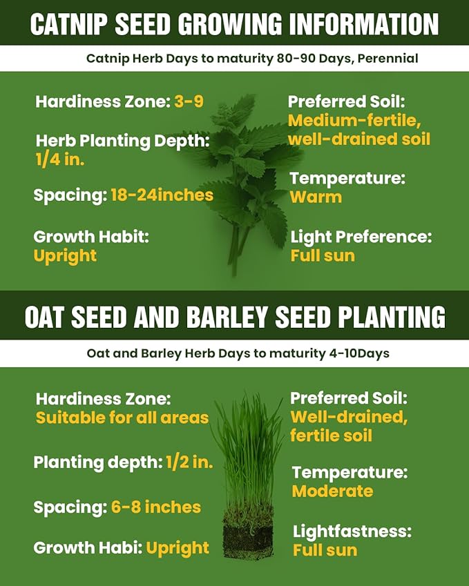 Cat Grass Seeds for Indoor Cats - Plant Catnip and Oat Grass, Heirloom Seed Packet for Indoor Planting Fun