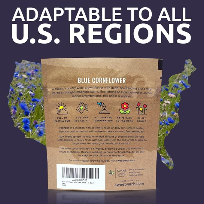 Blue Cornflower Seeds – Bachelor Buttons – Extra Large Packet – Over 5,000 Open Pollinated Non-GMO Wildflower Seeds – Centaurea cyanus