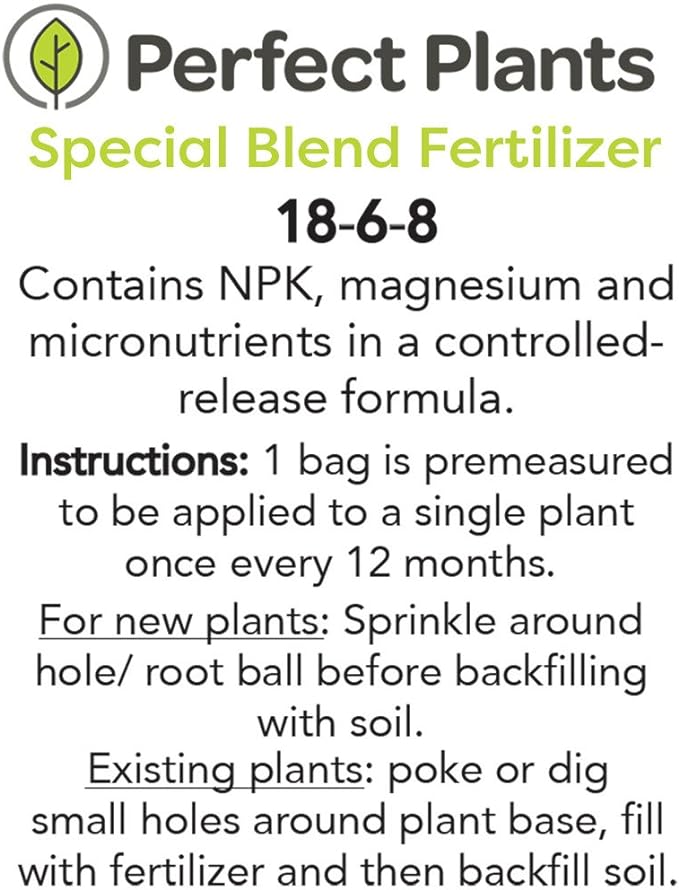 Spring Bouquet Viburnum - Size: 1 Gallon, Live Plant, Includes Special Blend Fertilizer & Planting Guide