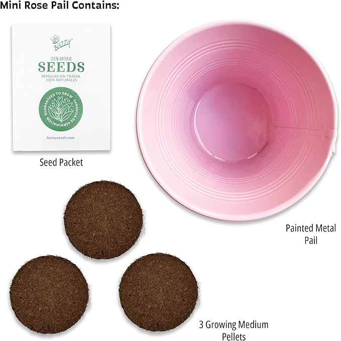 Buzzy Seeds Painted Love Pails | Flower & Herb Starter Kit for Kids & Adults | 2-Pack | Mini Rose and Lavender Seeds | Guaranteed to Grow | Best Indoor Grow Your Own Plant Gardening Gift
