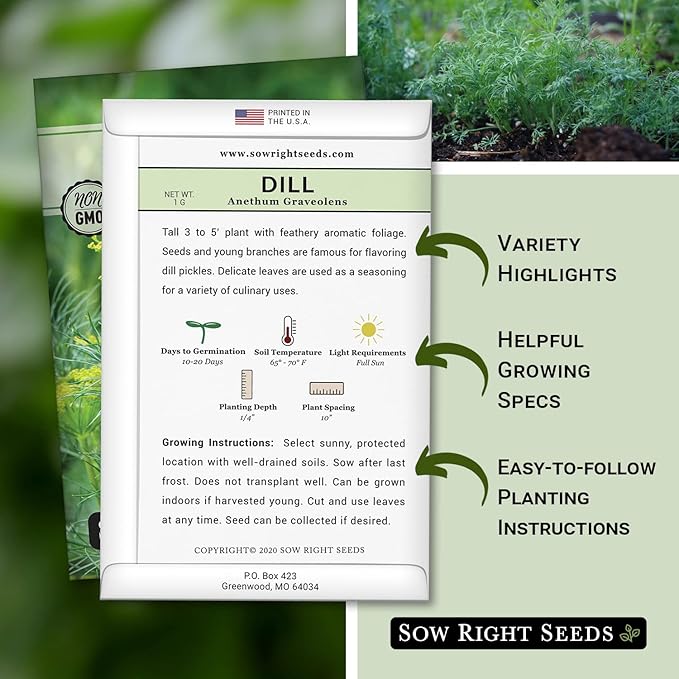Sow Right Seeds - Dill Seed for Planting - Non-GMO Heirloom Packet with Instructions to Plant and Grow Herb Garden - Indoors or Outdoors - Homemade Dill Pickles - Wonderful Companion Plant (2)