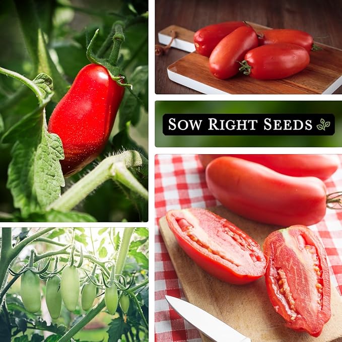 Sow Right Seeds - San Marzano Tomato Seeds for Planting - Non-GMO Heirloom Packet with Instructions to Plant a Home Vegetable Garden - Italian Classic Red Variety - Great for Sauce and Canning (1)