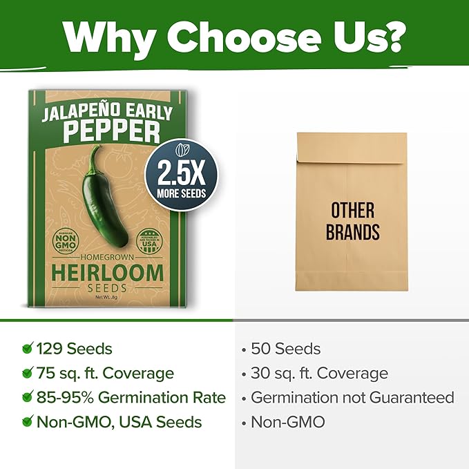 HOME GROWN Jalapeno Pepper Seeds (Capsicum annuum) - High Germination, Non-GMO Heirloom Seeds - 129 Hot Pepper Seeds for Planting - Easy to Grow, Early Harvest Jalapeno Seeds for Enthusiast