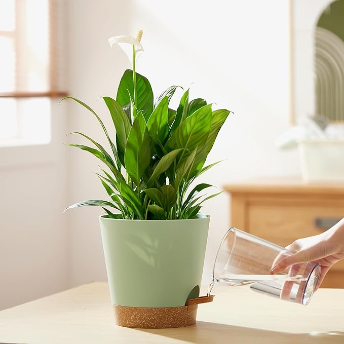 FaithLand 2-Pack 8 Inch Planter Pots for Indoor Outdoor Plants, Self Watering Flower Pots with Deep Reservoir, Green with Terracotta …