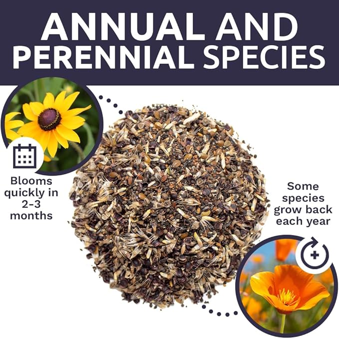 California Wildflower Mixture - Bulk 1 Ounce Packet - Over 7,000 Native Seeds - Open Pollinated and Non GMO