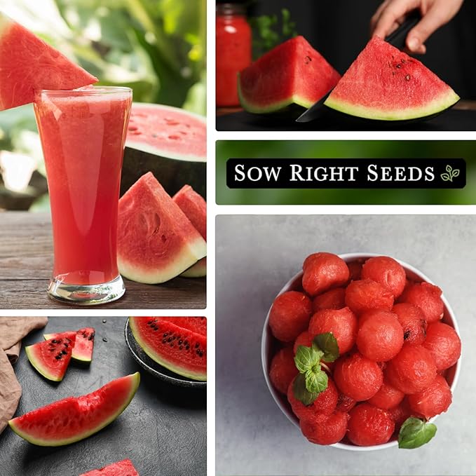 Sow Right Seeds - Sugar Baby Watermelon Seed for Planting - Non-GMO Heirloom Packet with Instructions to Plant a Home Vegetable Garden - Medium Sized with Dark Rind and Super Sweet Flesh (2)
