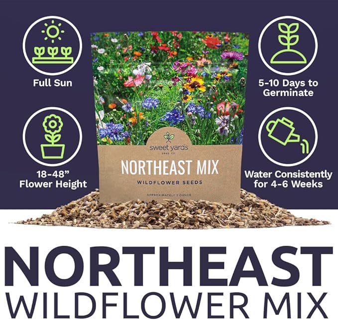 Northeast Wildflower Seeds - Extra Large 1 Ounce Packet - Over 7,500 Native Seeds - Open Pollinated and Non GMO Varieties for New York, Virginia, Pennsylvania, Maine and More!