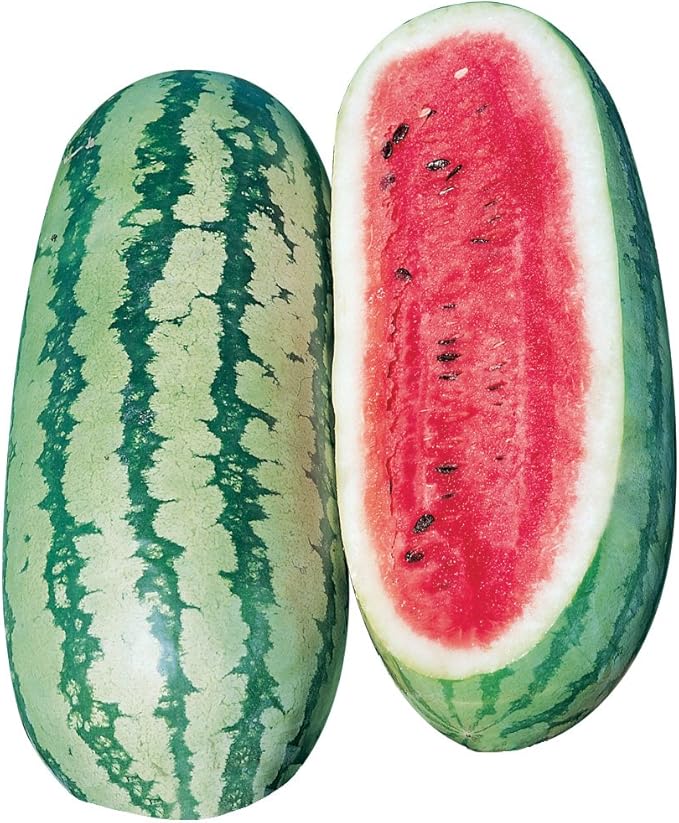 Burpee Georgia Rattlesnake Watermelon Seeds 100 seeds
