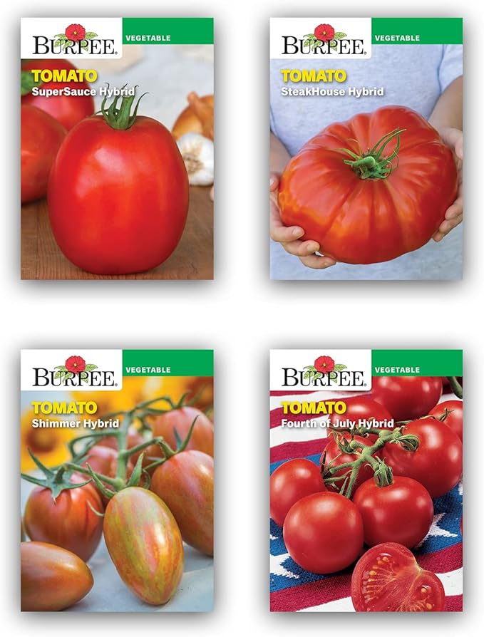 Burpee Best Starter Kit | SuperSauce, Fourth of July, Shimmer & Steakhouse | 4 Tomato Seed Packets, 4 Pots, 4 Coir Pellets & 4 Plant Markers