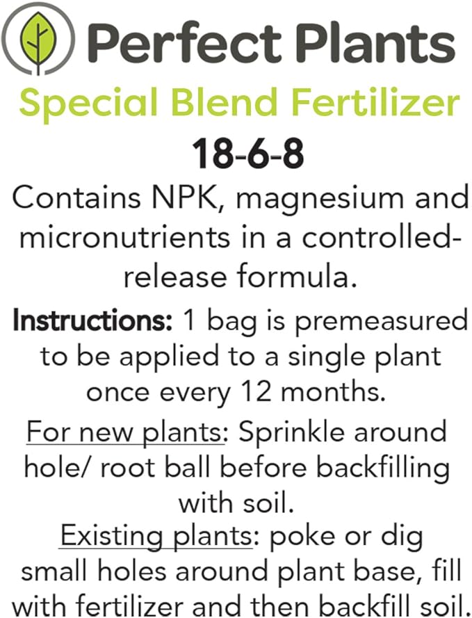 Arbequina Olive Tree - Live Plant, Includes Special Blend Plants Food & Planting Guide (2-3FT)