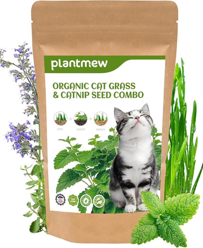 Cat Grass Seeds for Indoor Cats - Plant Catnip and Oat Grass, Heirloom Seed Packet for Indoor Planting Fun