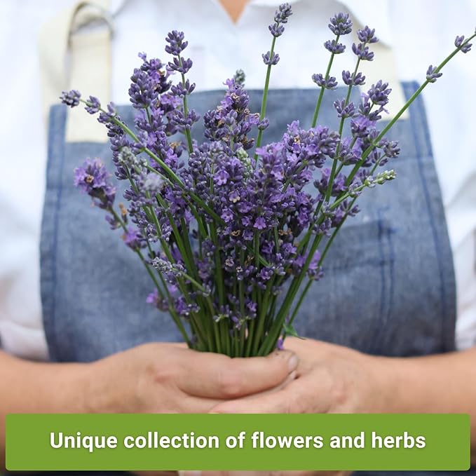 Sow Right Seeds - Pest Deterrent Seed Collection for Planting - Lavender, Catnip, Marigold, Hyssop & Lemon Grass - 5 Packets with Instructions for Home Garden - Natural Solution