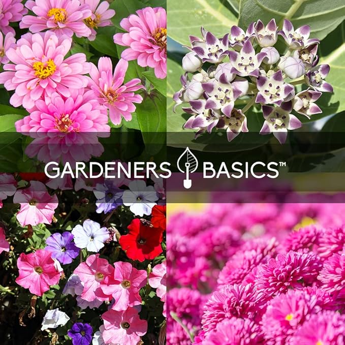 Gardeners Basics, Butterfly Seeds for Planting Outdoors Flower Seeds (8 Variety Pack) Milkweed, Aster, Zinnia, Hollyhock, Snapdragons, Echinacea, Phlox, Black Eyed Susan Pollinators Wildflower Seed