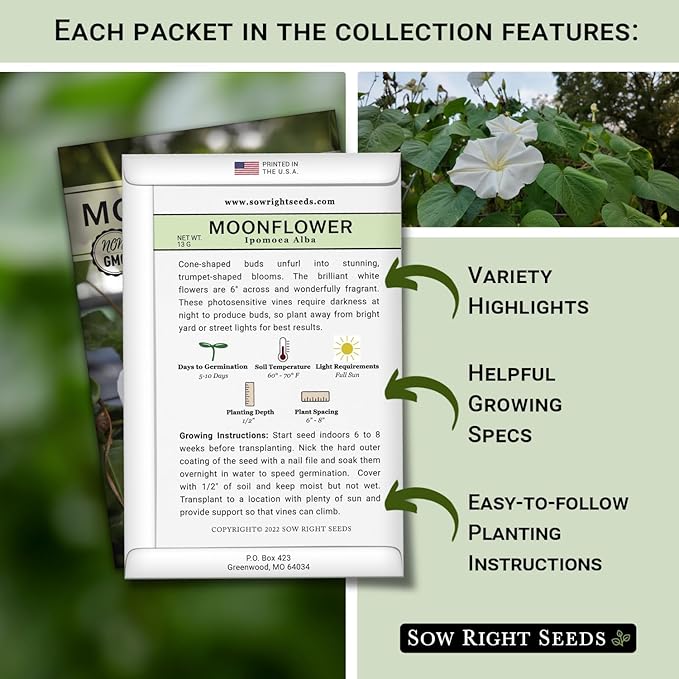 Sow Right Seeds - Moon Garden White Flower Seeds for Planting - Shasta Daisy, Alyssum, Polar Bear Zinnia, Baby’s Breath & Moonflower - Non-GMO Variety to Plant a Stunning Evening Moon Flower Garden