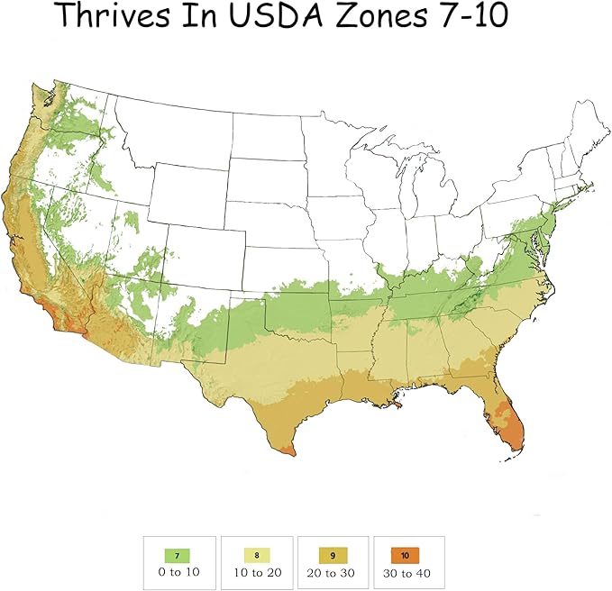 Southern Living Jublilation Gardenia, 2 Gal, Fragrant White Flowers