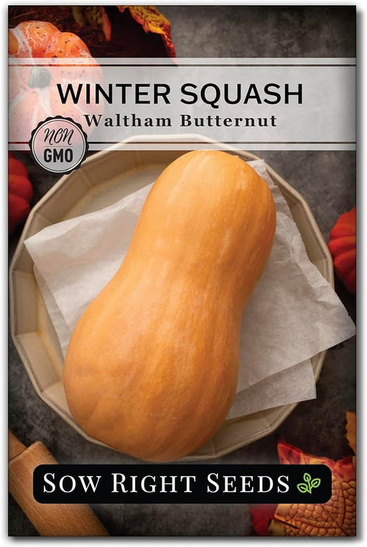 Sow Right Seeds - Waltham Butternut Squash Seeds for Planting - Non-GMO Heirloom Packet with Instructions to Plant a Home Vegetable Garden - Sweet Winter Squash, Perfect to Grow in Cooler Months (1)