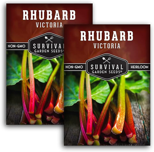 Survival Garden Seeds - Victoria Rhubarb Seed for Planting - 2 Packets with Instructions to Plant and Grow Cold-Tolerant Perennial Spring Vegetables in Your Home Garden - Non-GMO Heirloom Variety