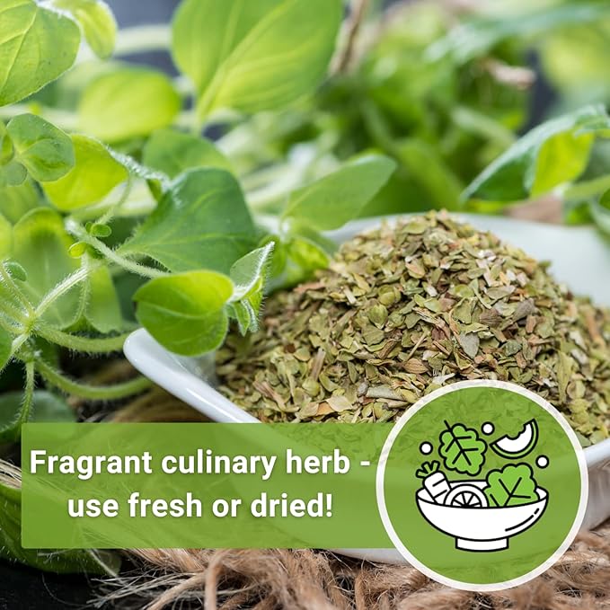 Sow Right Seeds - Oregano Seed for Planting - Non-GMO Heirloom- Instructions to Plant and Grow a Kitchen Herb Garden - Indoor or Outdoor - Gardening Gift - Produces Flavorful Leaves for Seasoning (3)