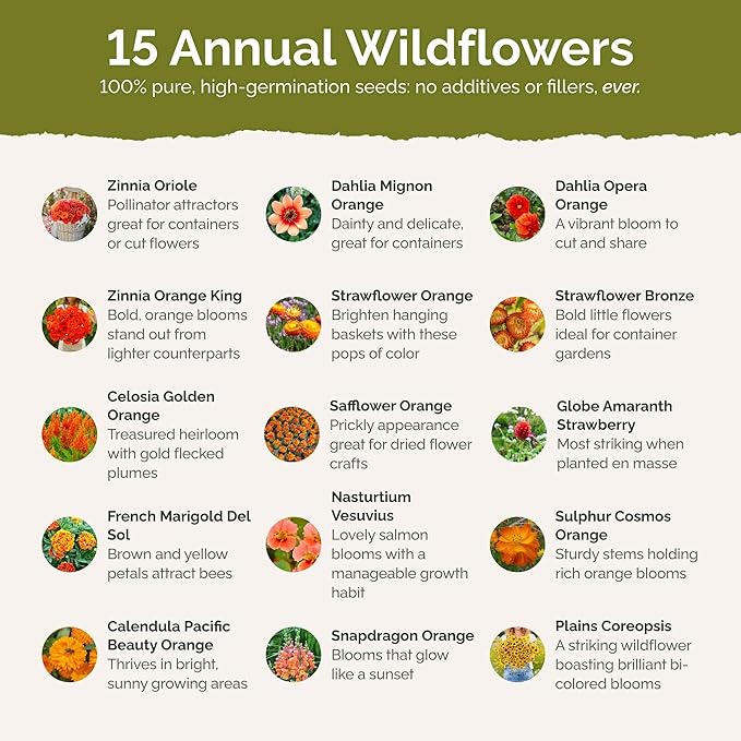 Eden Brothers Orange You Glad Flower Mixed Seeds for Planting, 1 lb, 480,000+ Seeds with Dahlia, Double Strawflower | Attracts Pollinators, Plant in Spring or Fall, Zones 3, 4, 5, 6, 7, 8, 9, 10