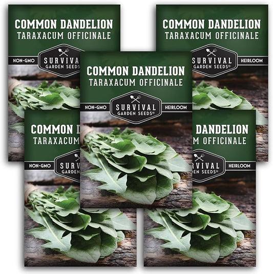 Survival Garden Seeds Common Dandelion Seed - 5 Packs with Instructions to Plant & Grow Nutritious Medicinal Plants & Leafy Greens in Your Home Herb or Vegetable Garden - Non-GMO Heirloom Variety