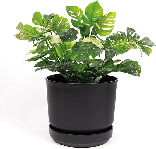 Elly Décor 8 inch Plastic Cylinder Planter Pot with Self-Watering Saucer and Drainage Hole,Lightweight & Extremely Durable, 8"x 8", Black