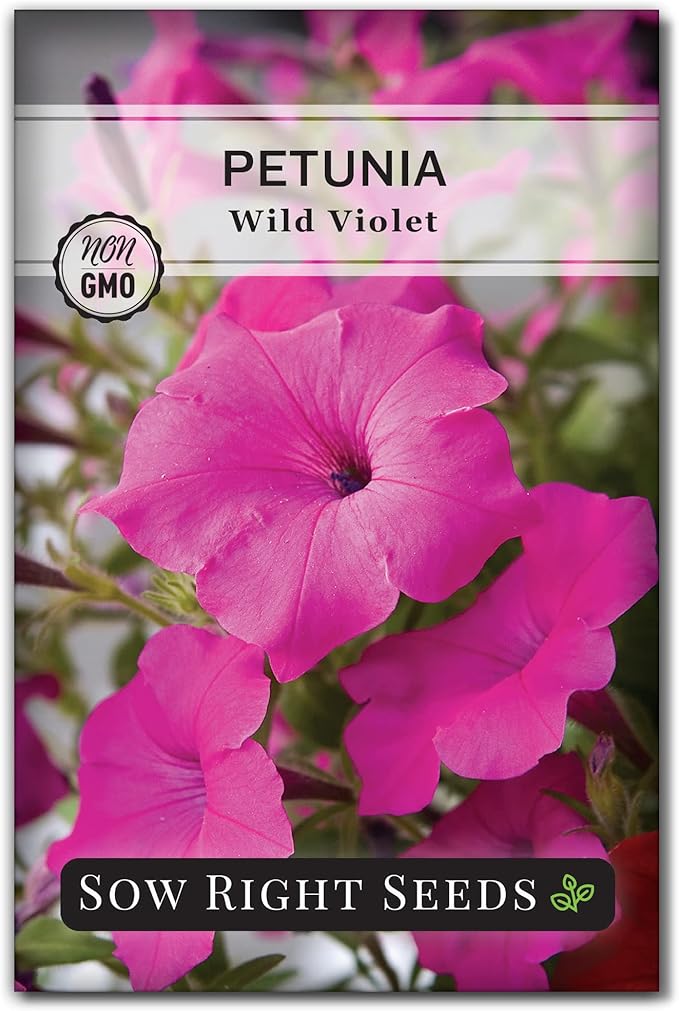 Sow Right Seeds - Collection of Pink Flower Seeds for Planting - Non-GMO Heirloom Packets with Instructions - Wonderful Rosy Blooms to Attract Pollinators - Cut and Come Again - Rare Varieties